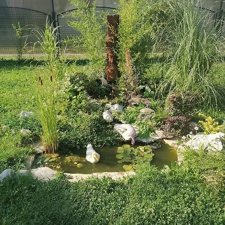 Apartman Garden House Vozdivac Exterior photo