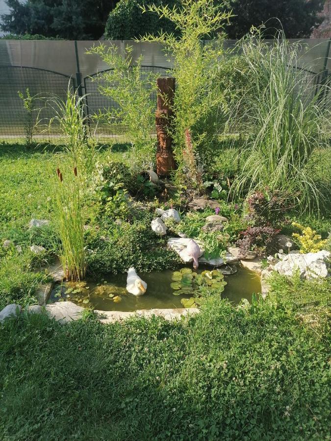 Apartment Garden House
